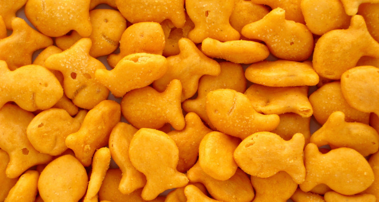 Goldfish-Crackers - So Good Blog